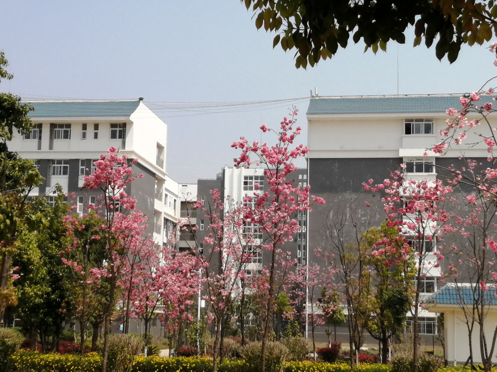 保山中等專業(yè)學(xué)校新校區(qū)(保山高級(jí)技工學(xué)校）